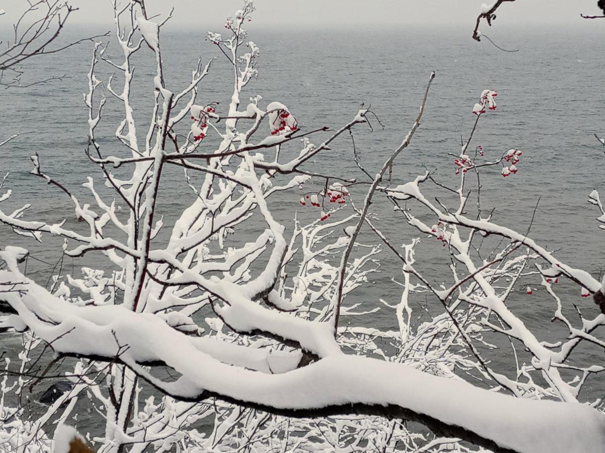 Cliff Dweller On Lake Superior Tofte Exterior photo